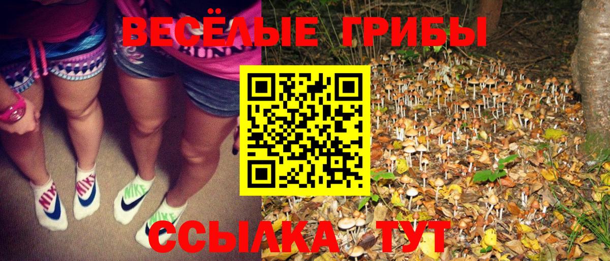 Галлюциногенные грибы ЛСД Альметьевск